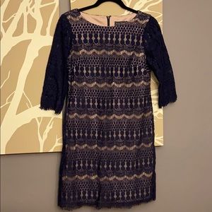 Gorgeous Navy and Nude Knee Length Dress!